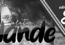 Buletin Nande Edisi 8